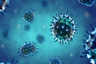 Clicca per accedere all'articolo Infezione da virus Andes (ANDV). Indicazioni per la valutazione e gestione dei casi sospetti, probabili e confermati in particolare legati al focolaio a bordo della MV Hondius